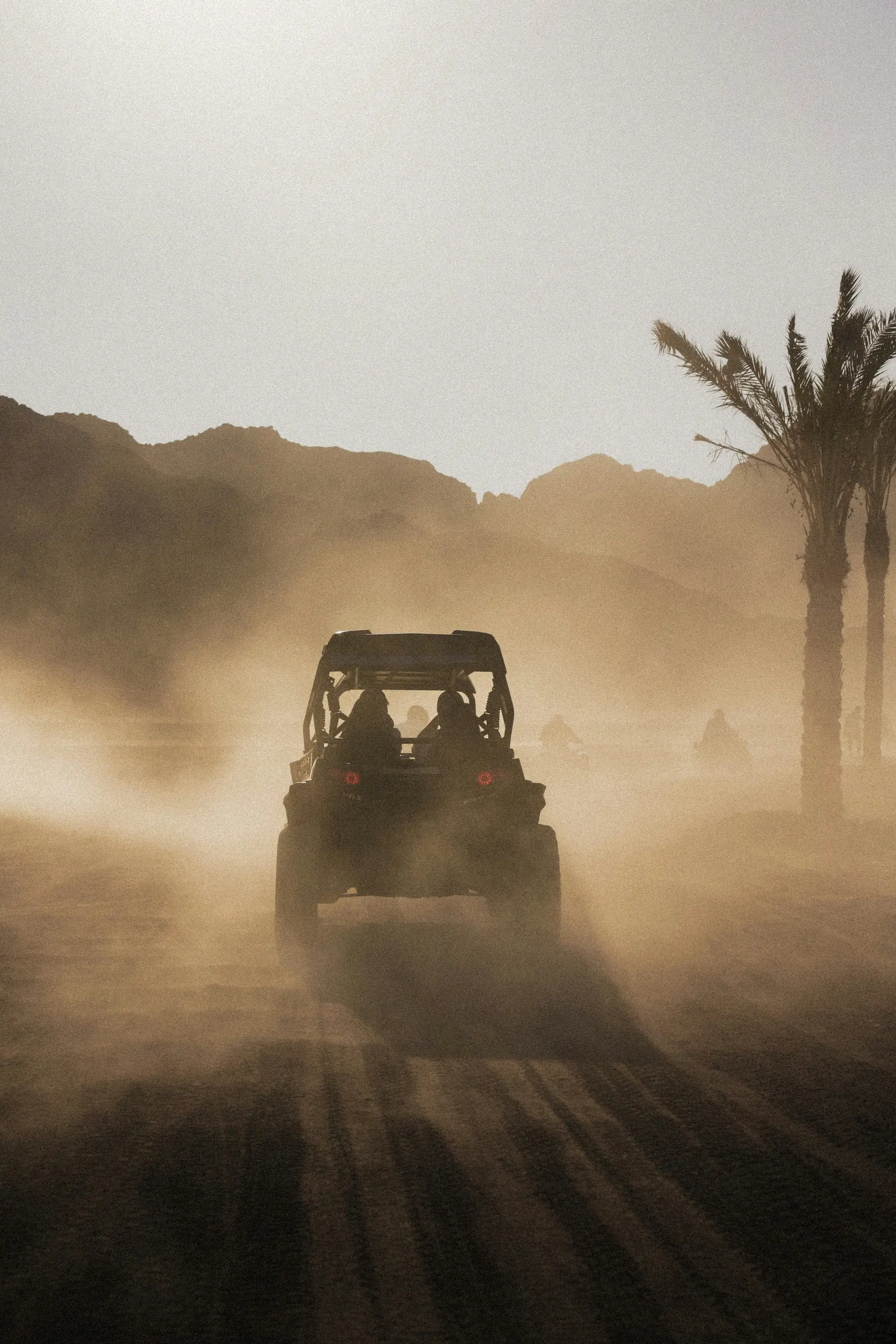 Buggy tout-terrain soulevant un épais nuage de poussière sur une piste du désert au soleil couchant, autres véhicules et palmiers dans la brume, montagnes en arrière-plan