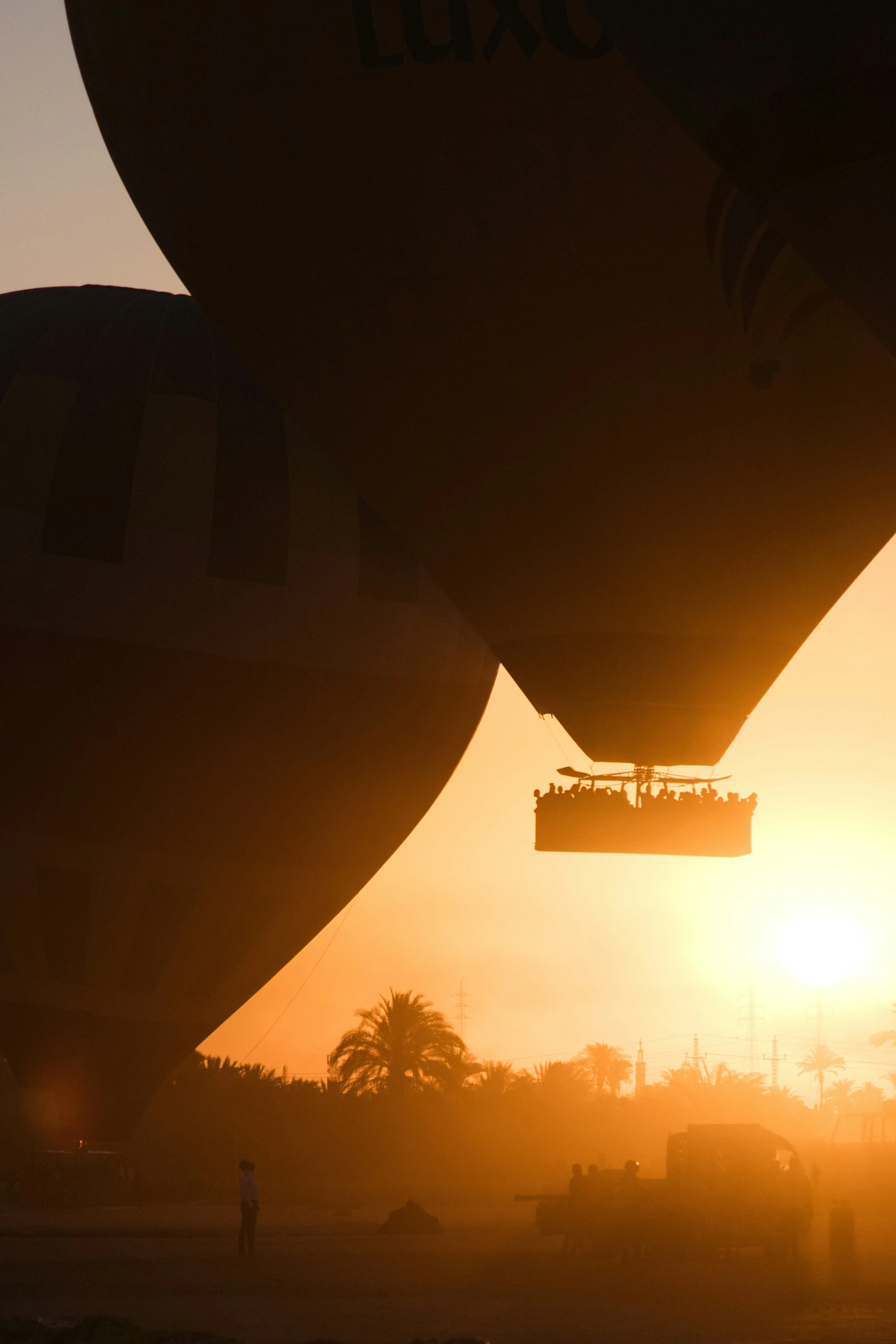 Nacelle de montgolfière remplie de passagers en contre-jour au soleil levant, enveloppes en silhouette et palmiers de la rive ouest de Louxor